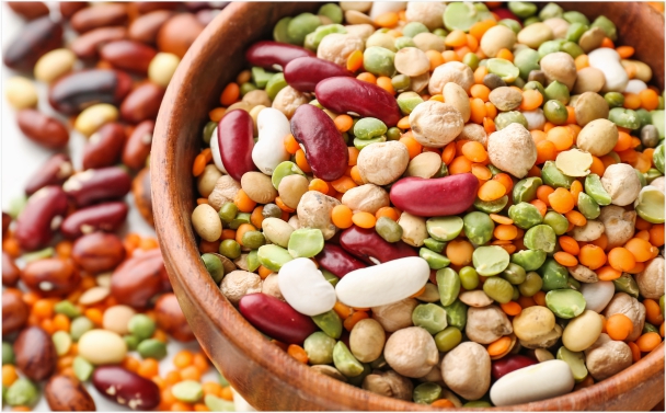 SPROUTS & LENTILS